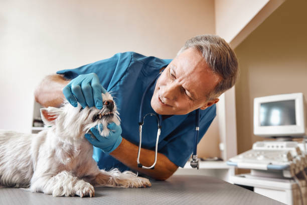 Best Emergency Root Canal Treatment in Florence, MS